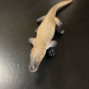 Lizard Model Realistic lizard toy